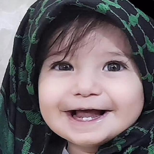 امیرحسن عباسی