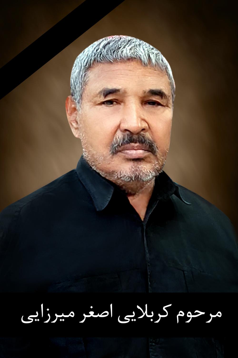 محمد اصغر میرزایی