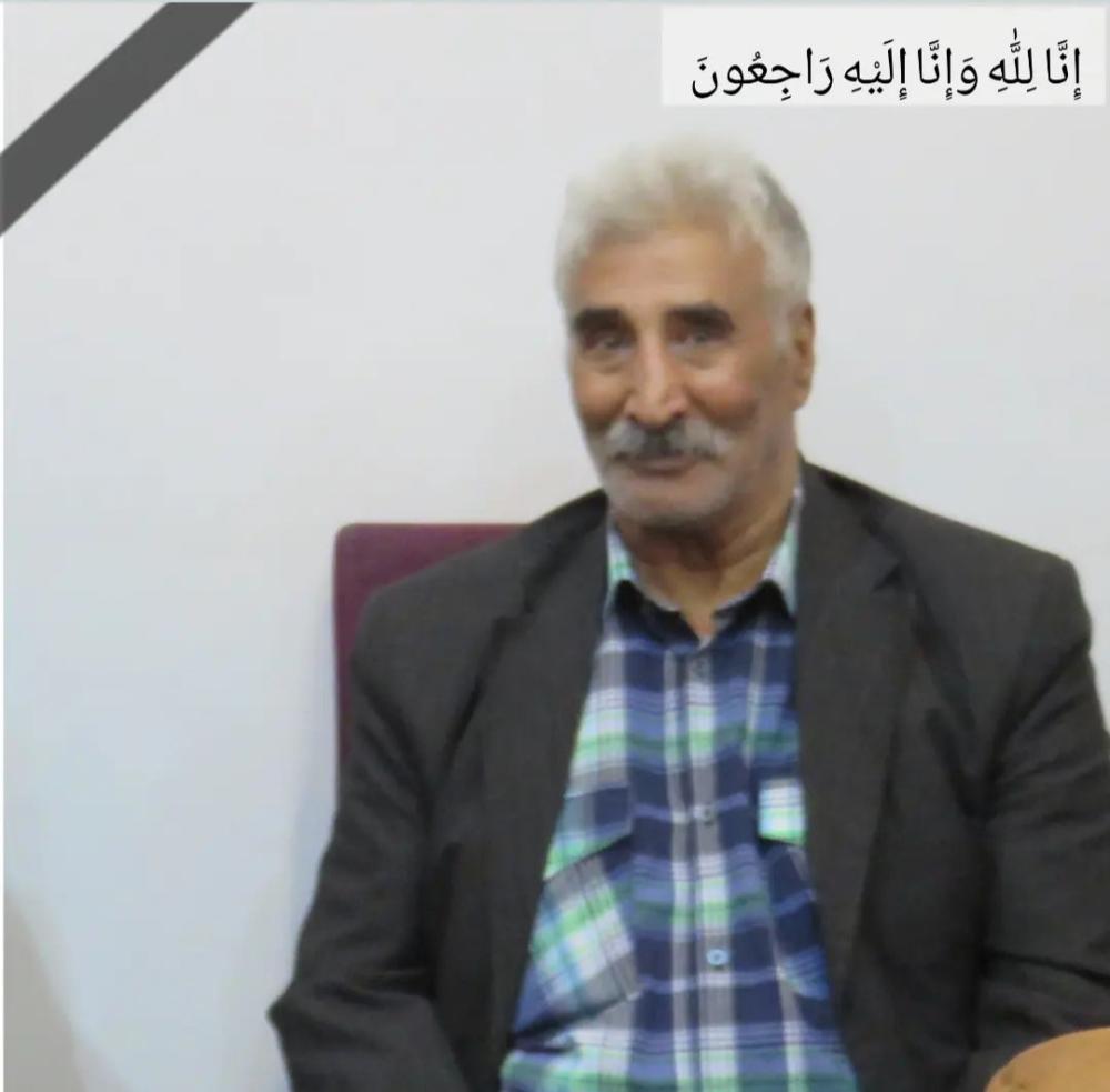 محمدحسین سبزی