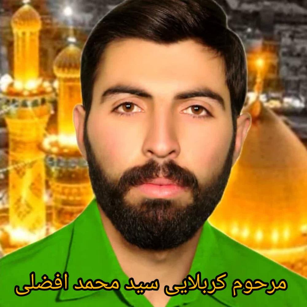 سید محمد افضلی