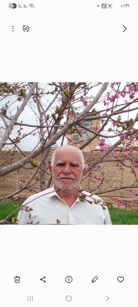 بهروز حیدری