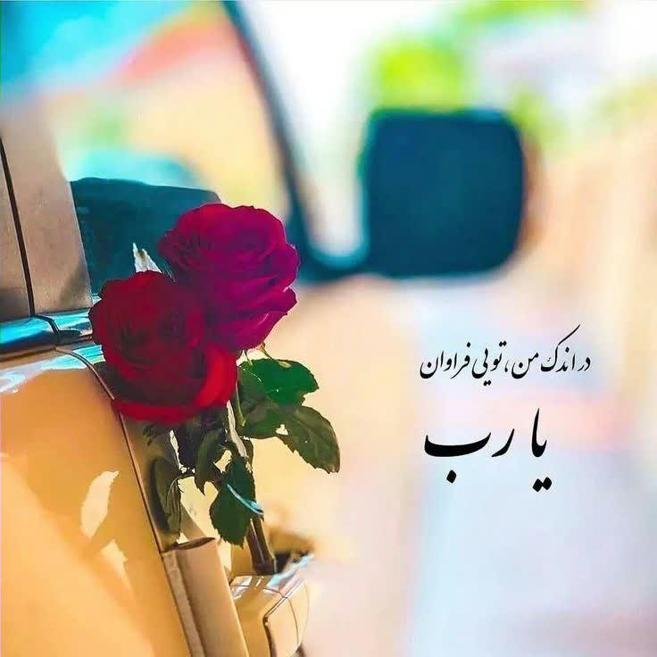 رهبران معظم آیت الله خامنه ای و امام خمینی.آقای ریئسی.حاح قاسم .حاج عبدالحسین و حاج رضا.خورشیدخانم.احمدآقا.مهنازخانم جمالی.زارع.غلامی.حسینی.موسوی.ریئسی.سلیمانی