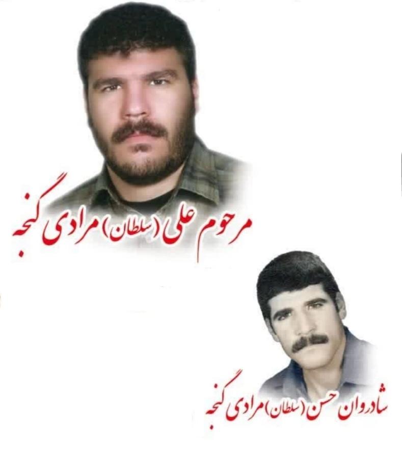علی مرادی گنجه