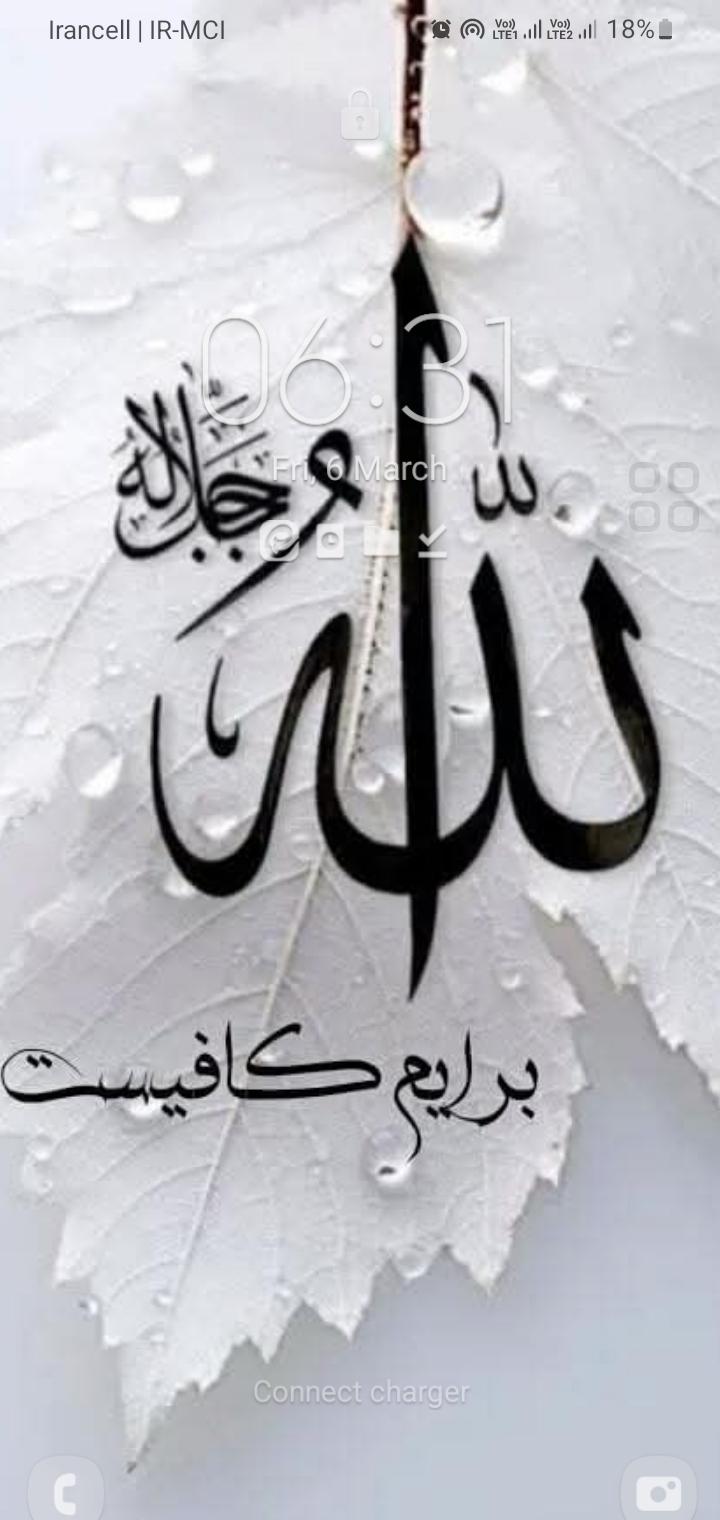 رقیه منافی