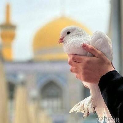 فاطمه و فایزه محمدی