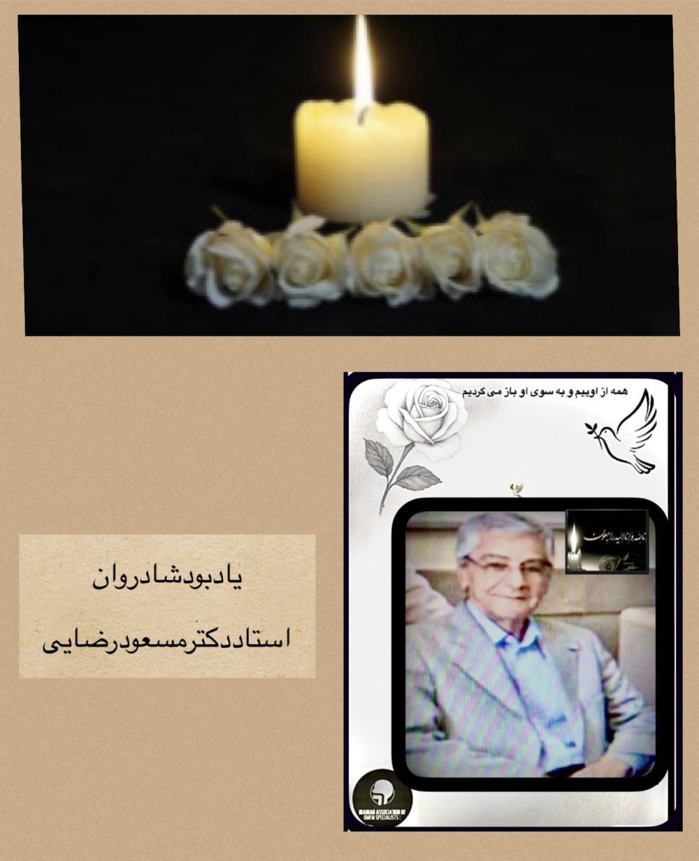 استاد دکتر مسعود رضایی