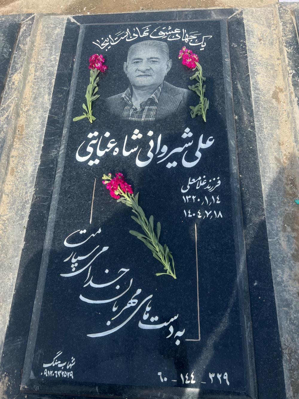 علی شیروانی شاه عنایتی