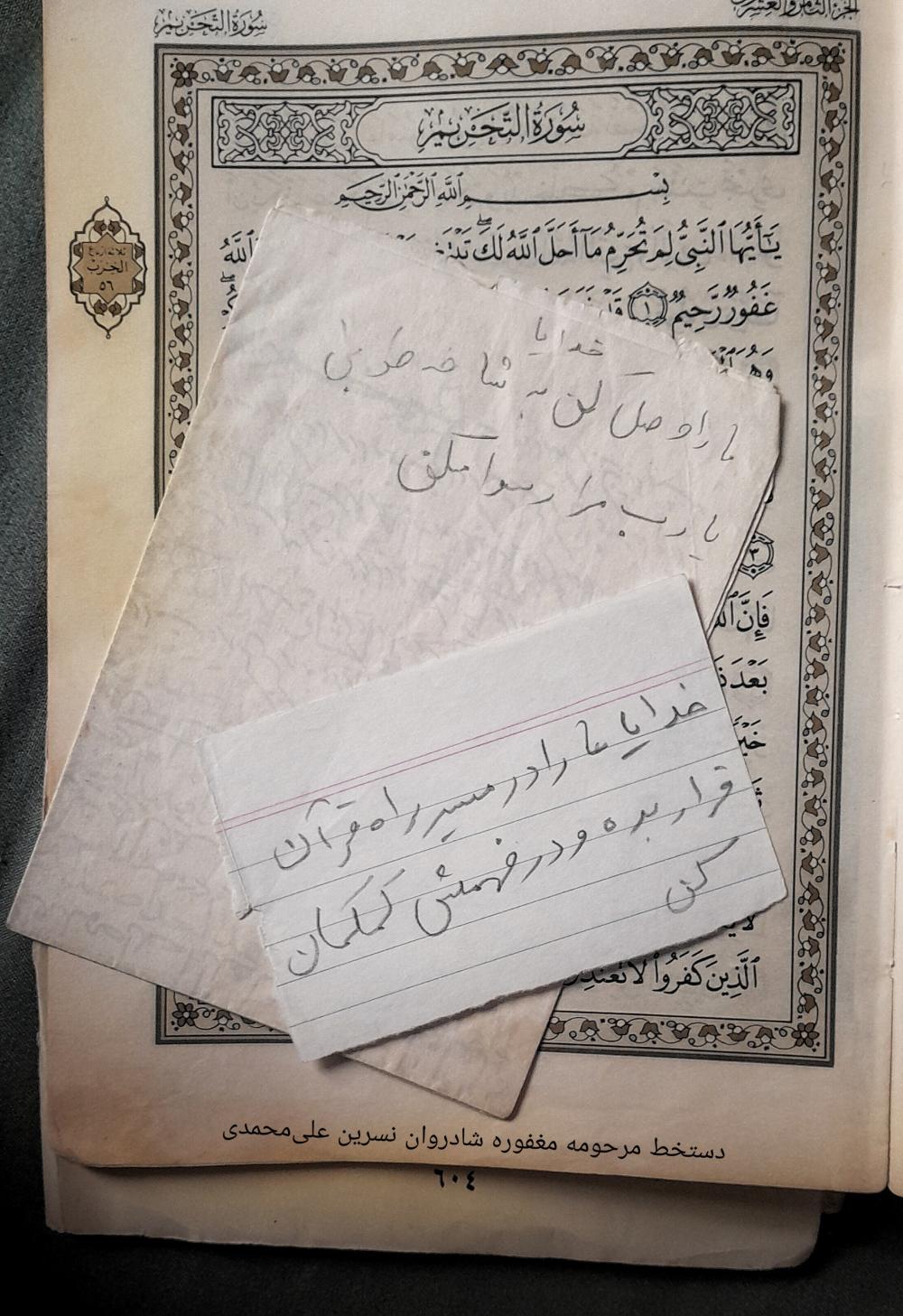 نسرین علی‌محمدی