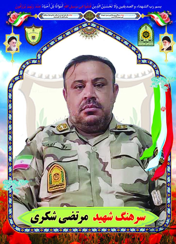 مرتضی شکری