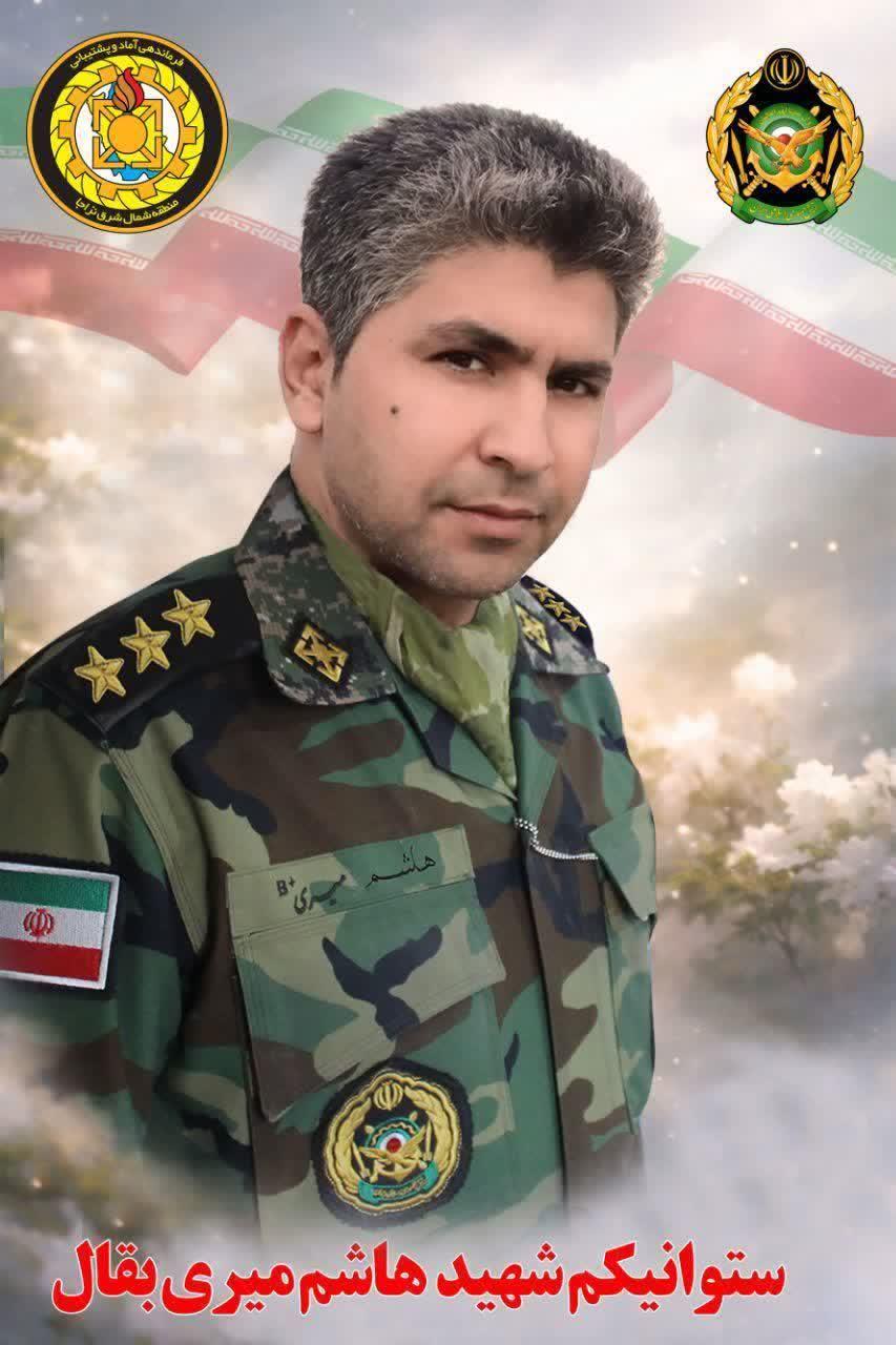 هاشم میری