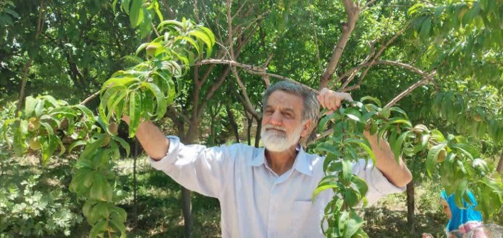 سید عباس عرشی