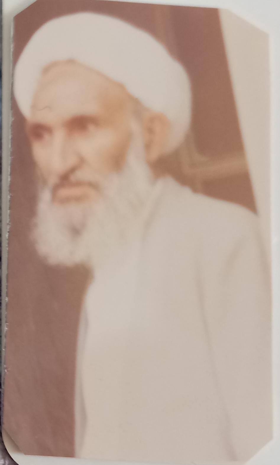 حجت‌الاسلام شیخ علیمحمد علی پناهی