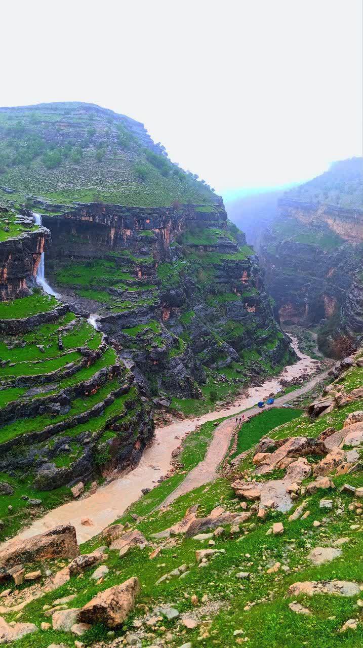 سلطانه زرگوش