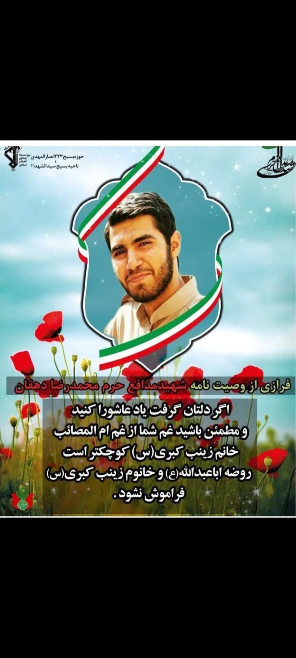 محمدرضا دهقان امیری