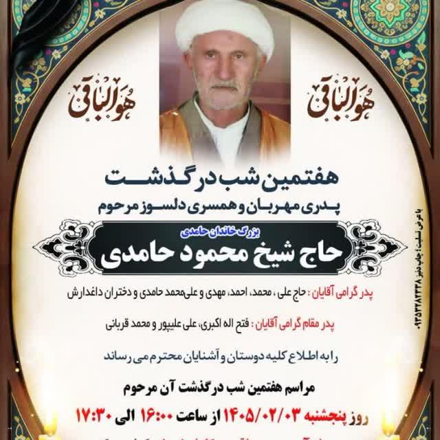 حاج شیخ محمود حامدی