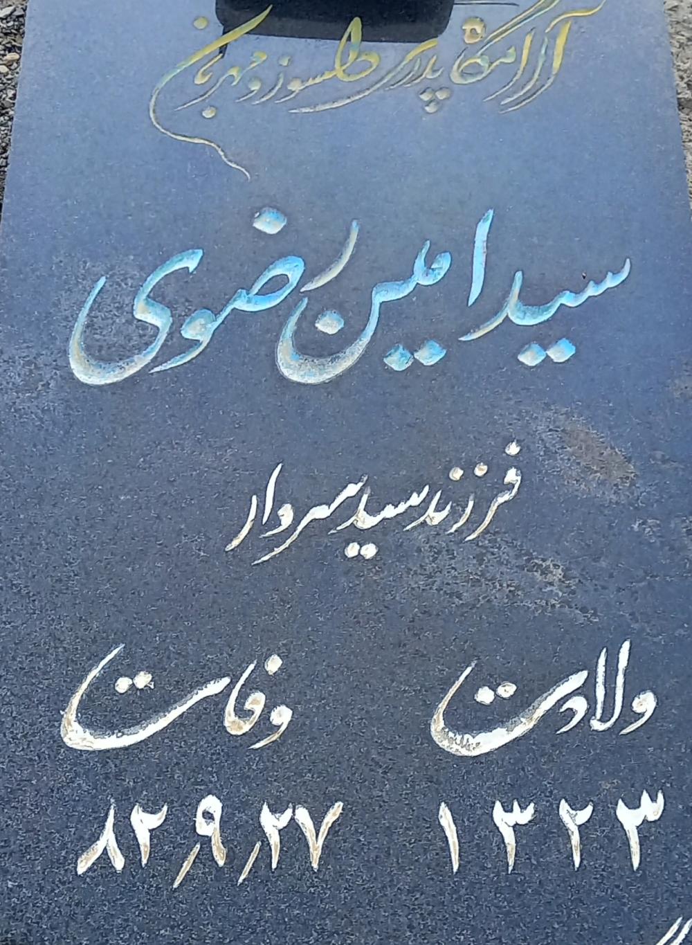 سید امین رضوی