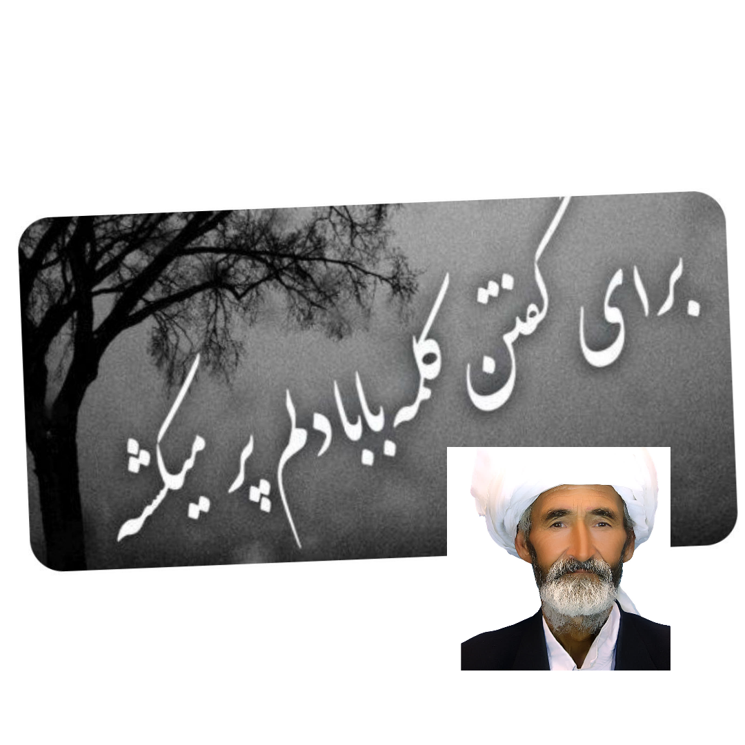 کربلایی میرغلامحسین فروهر