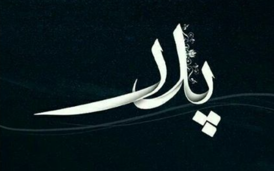 جمال مفید