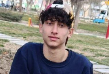شایان کارگری