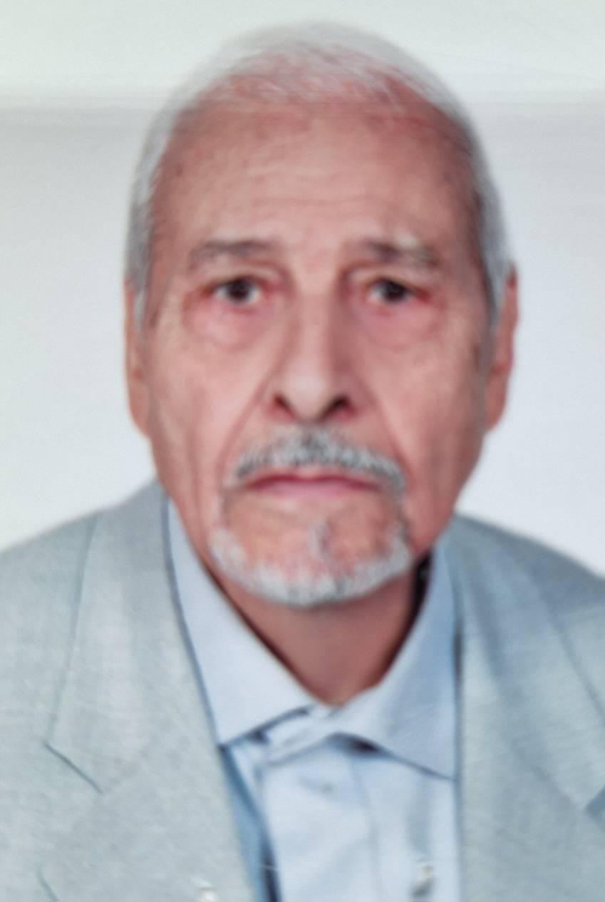 حسن همقلمیان رضوی