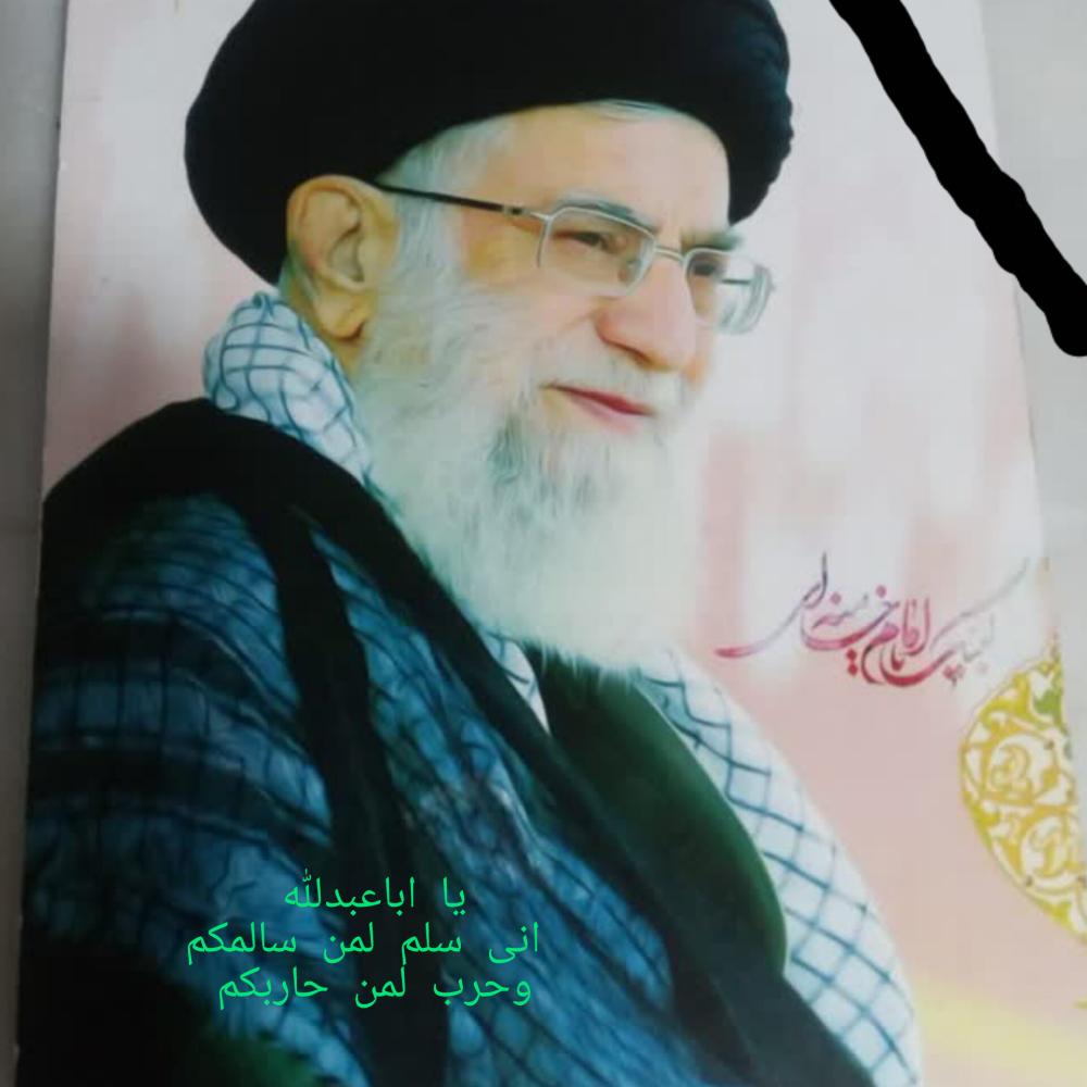 هادی عامل مقدم