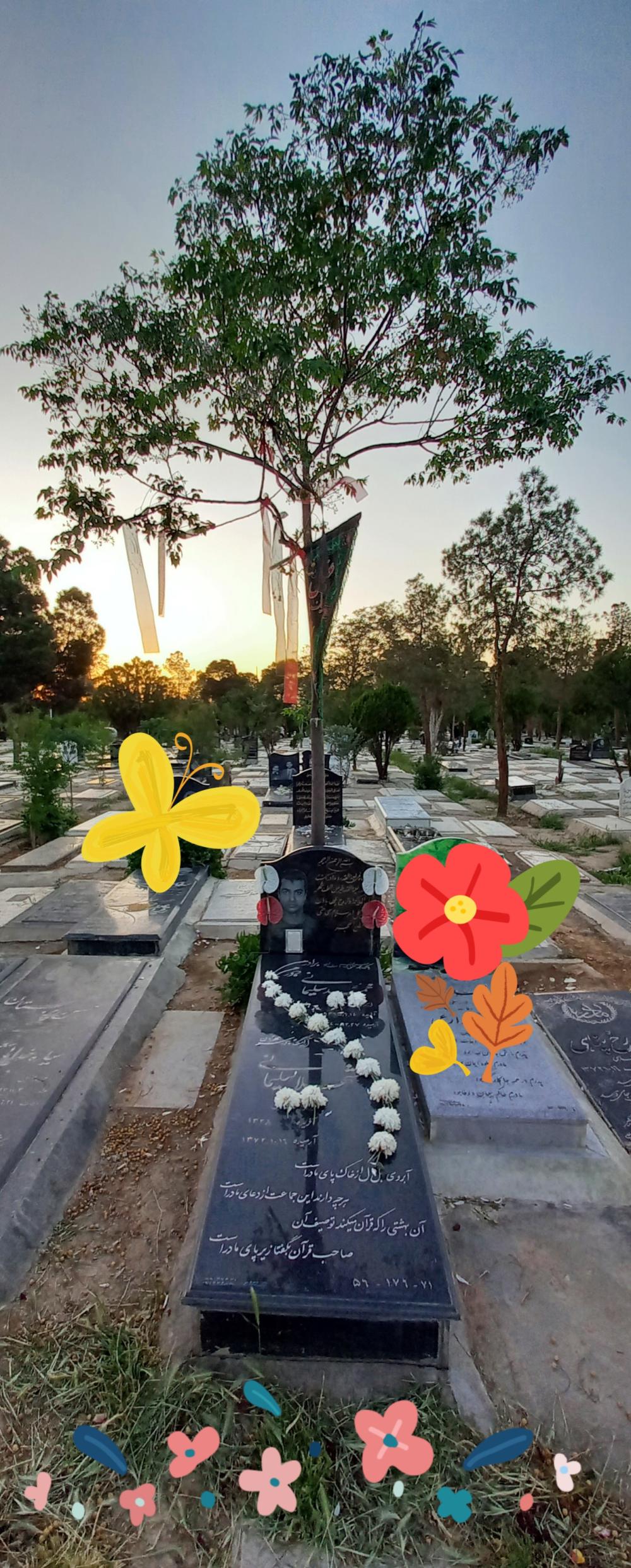 شهلا و محمد سلیمانی