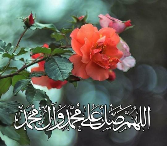 زهرا سلیمان