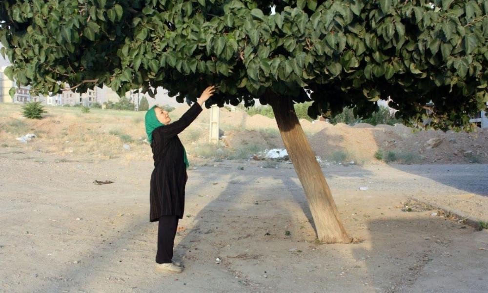 حکیمه یگانه