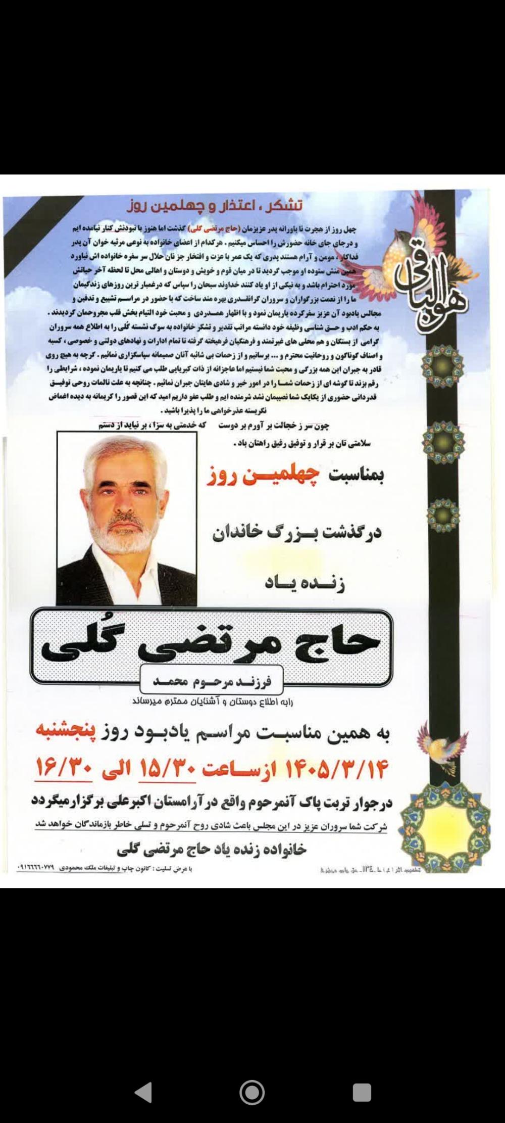 مرتضی گلی