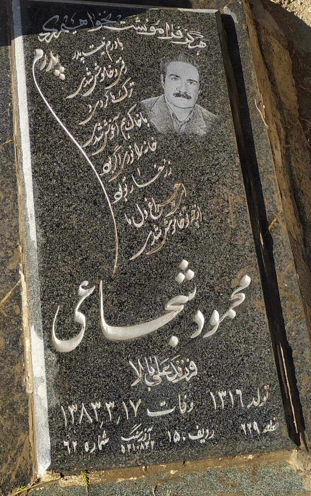 محمود شجاعی