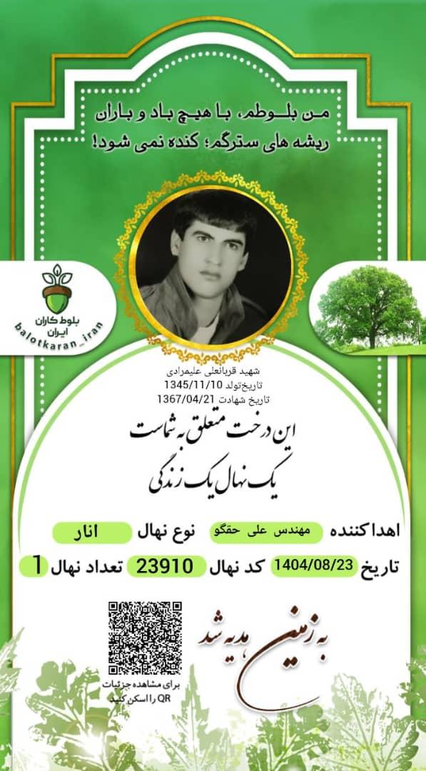 شهید قربانعلی علیمرادی