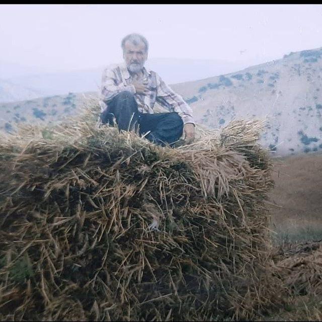 حاج حسن (رضا) قربانی