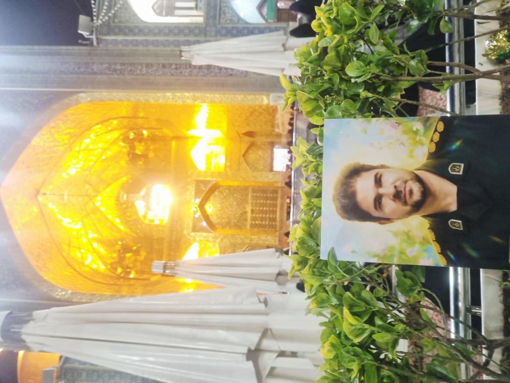 داریوش محمدی