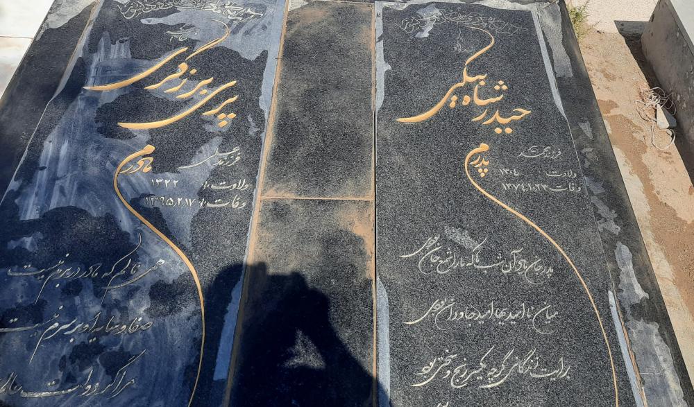 حیدر شاهبیکی وپری برزگری