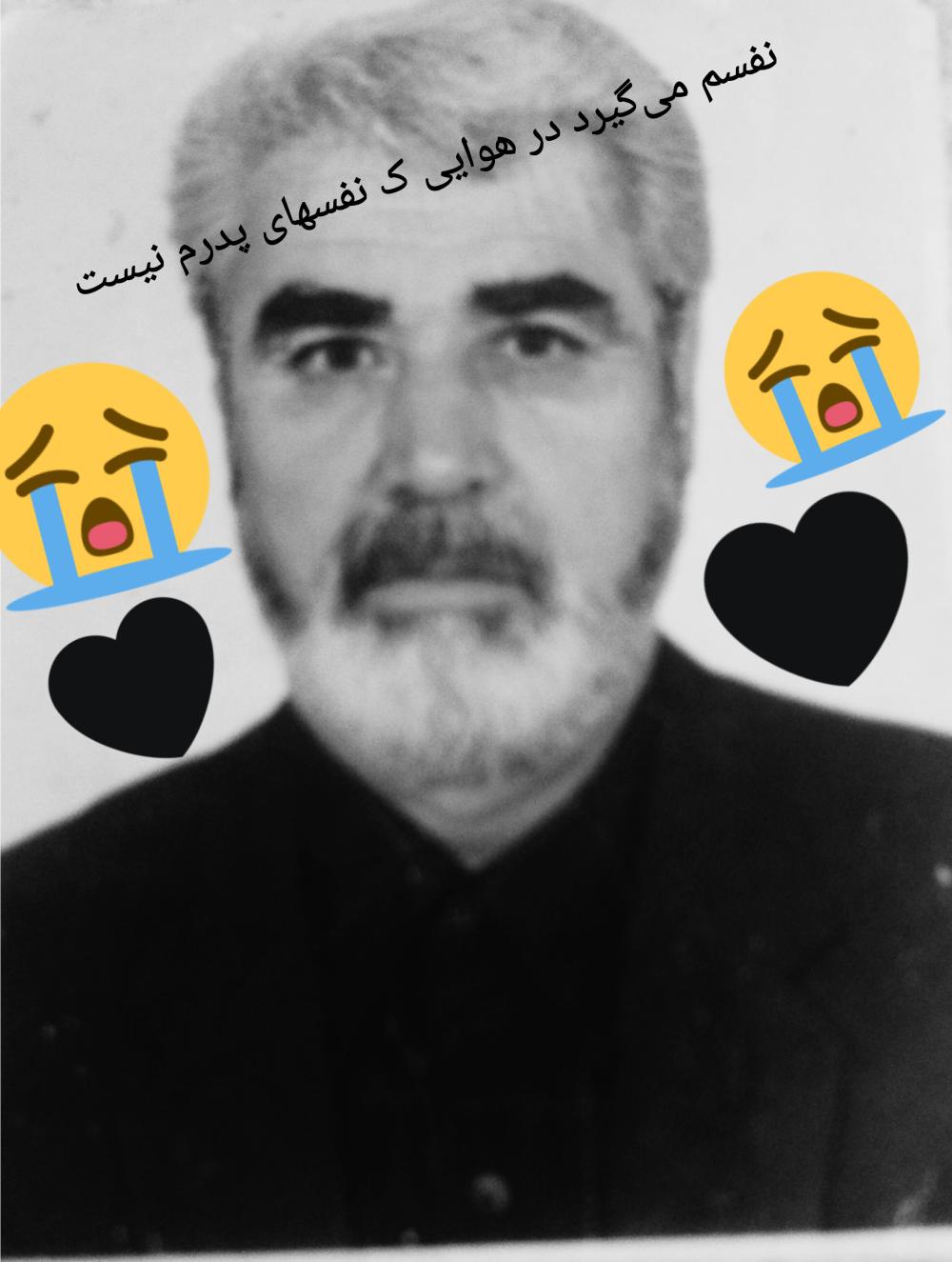محمدرضا رضا مقامی نیا