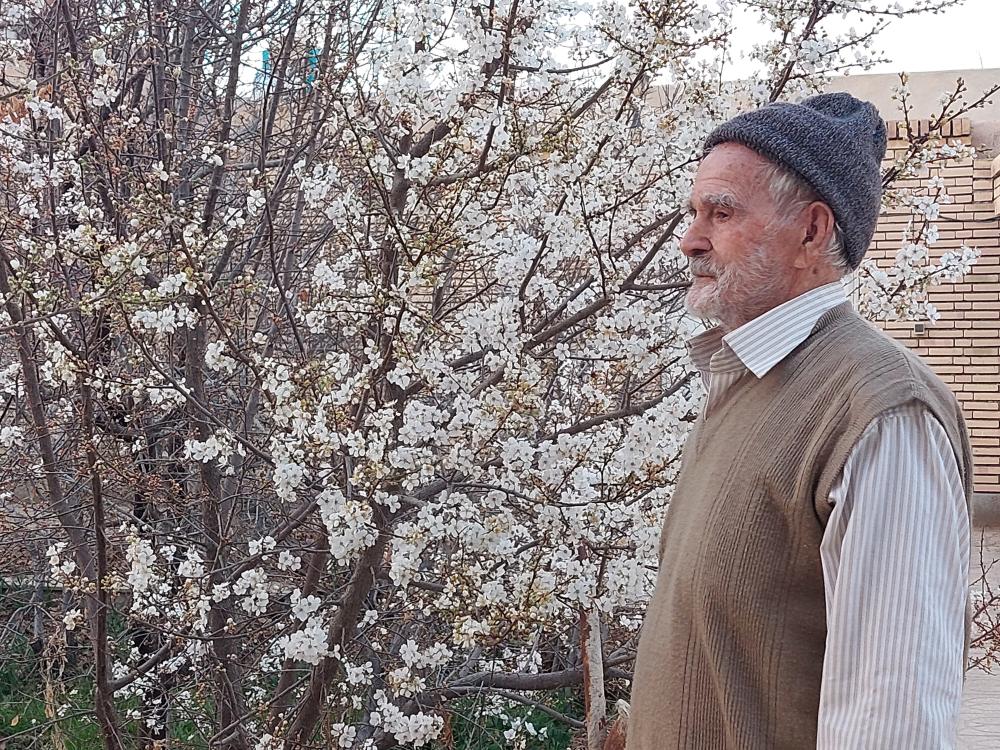 رضا باشی مهریزی