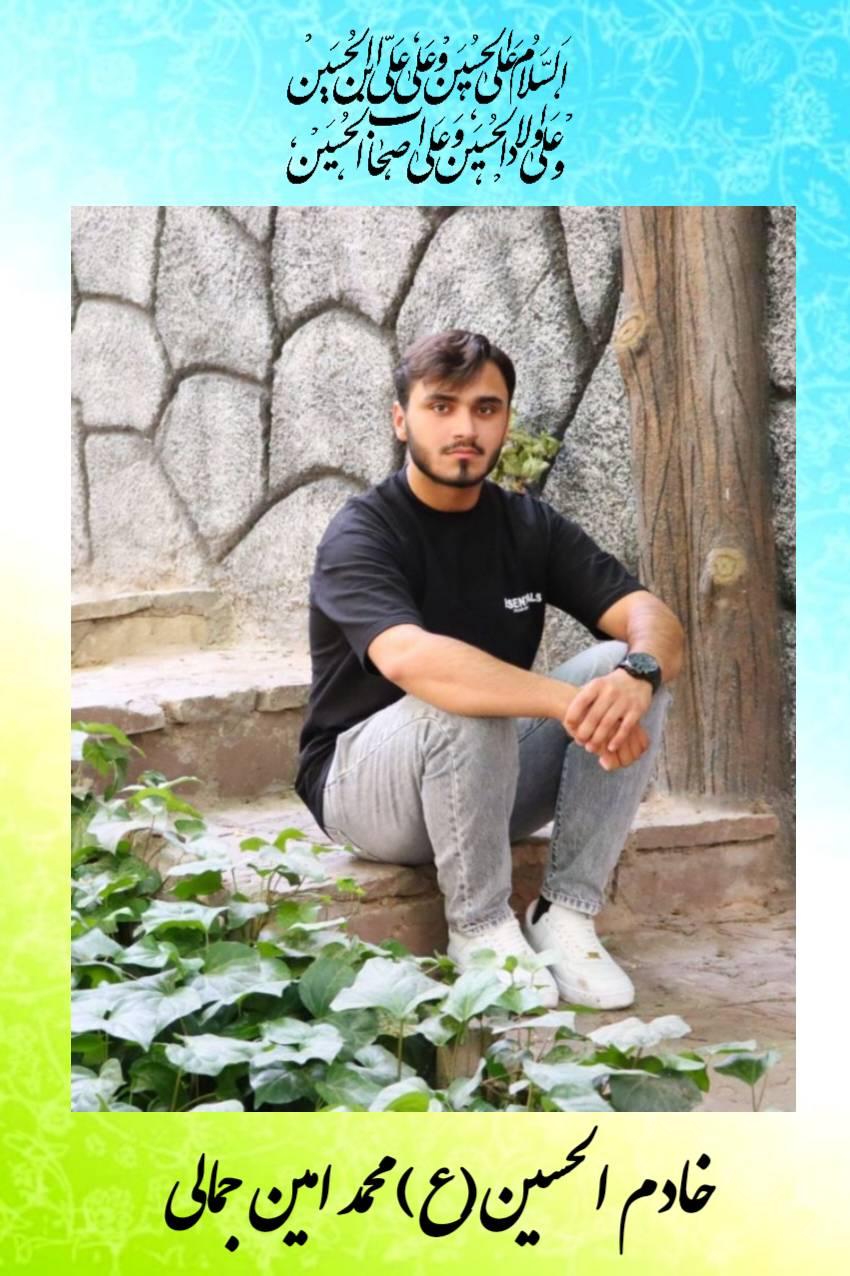محمد امین جمالی