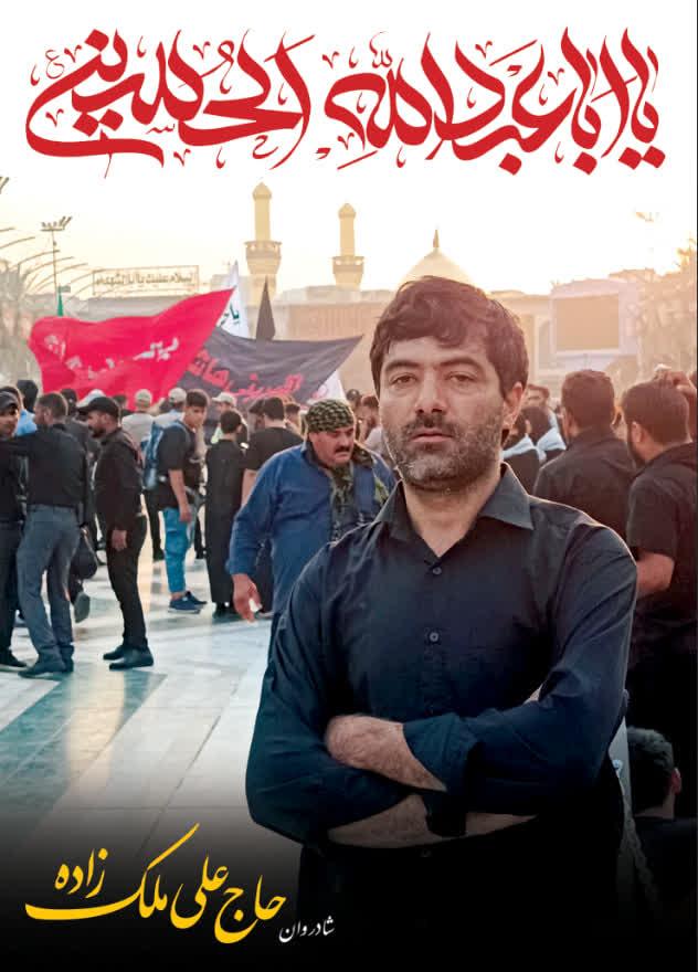 علی ملک زاده فیروزآبادی