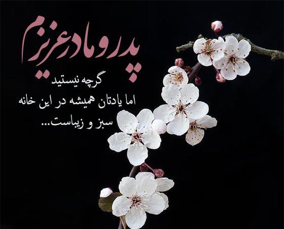 فاطمه بیگم قلمدانی