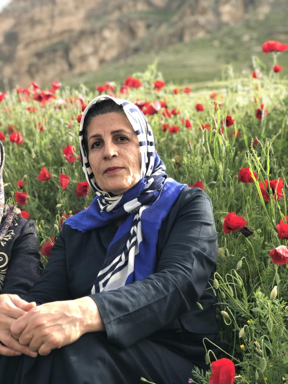 اشرف حبیبی