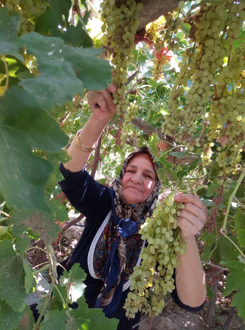 حاجیه خانم زینب خاتون احمدی فروغ
