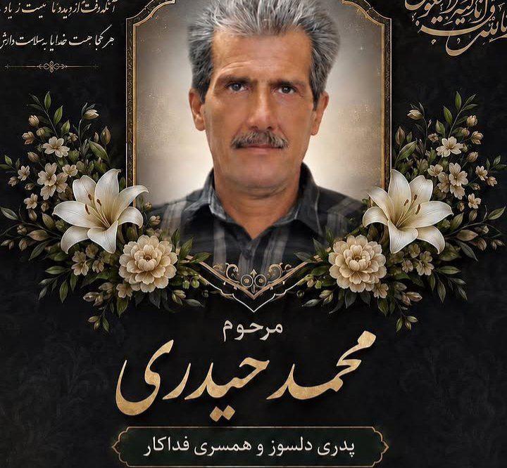 محمد حیدری