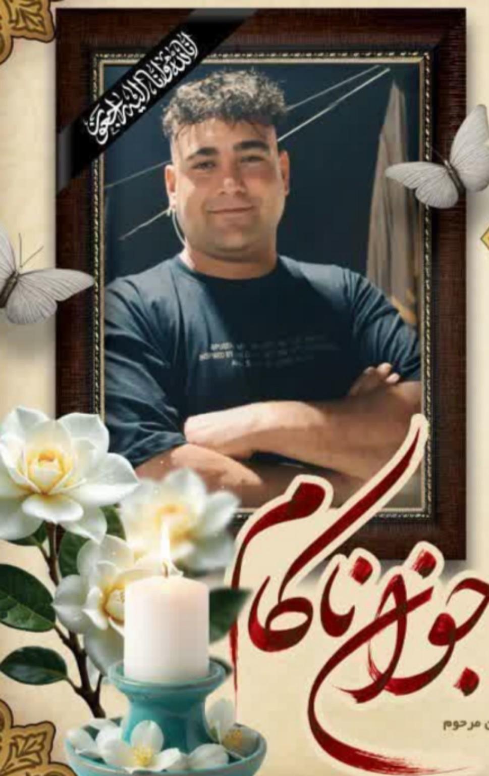 سید حمزه میری