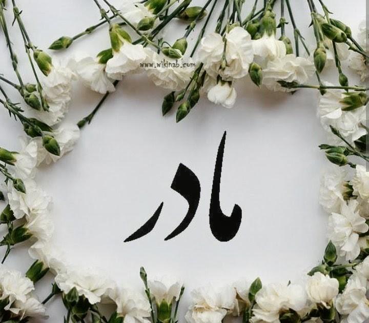 بانو فاطمه محمدی امین