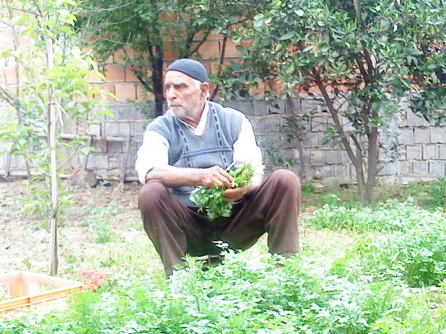 حسین نبی زاده