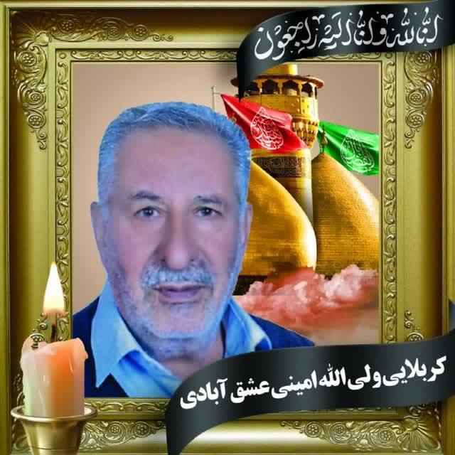 ولی اله امینی