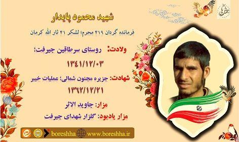 محمود پایدار