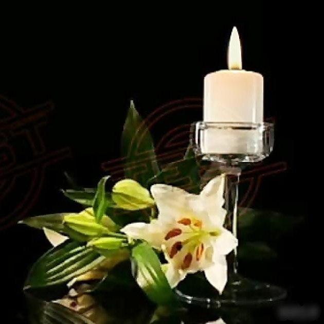 عزت استادی
