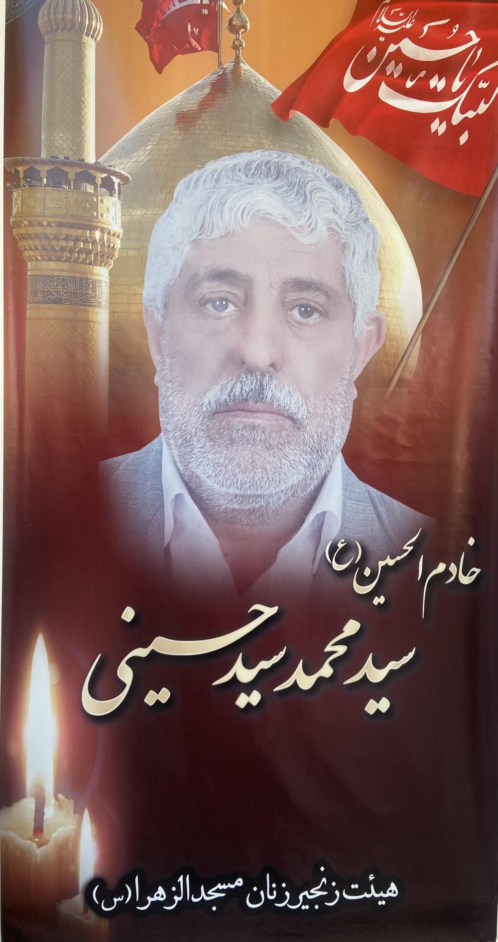 سید محمدعلی سیدحسینی