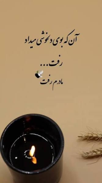 فاطمه ترابی